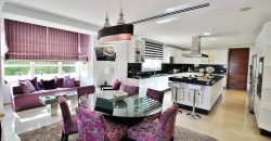 La Cerquilla, Luxury villa