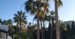 RENT – EL CORRALITO – PUERTO BANUS