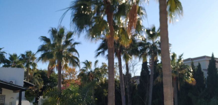 RENT – EL CORRALITO – PUERTO BANUS